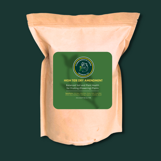 High Tide Dry Amendment