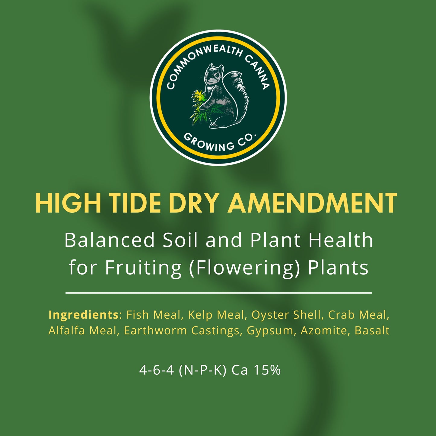 High Tide Dry Amendment