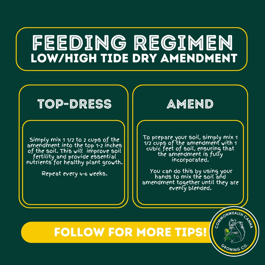 High Tide Dry Amendment