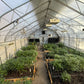 Home Grower's Mix Organic Soil