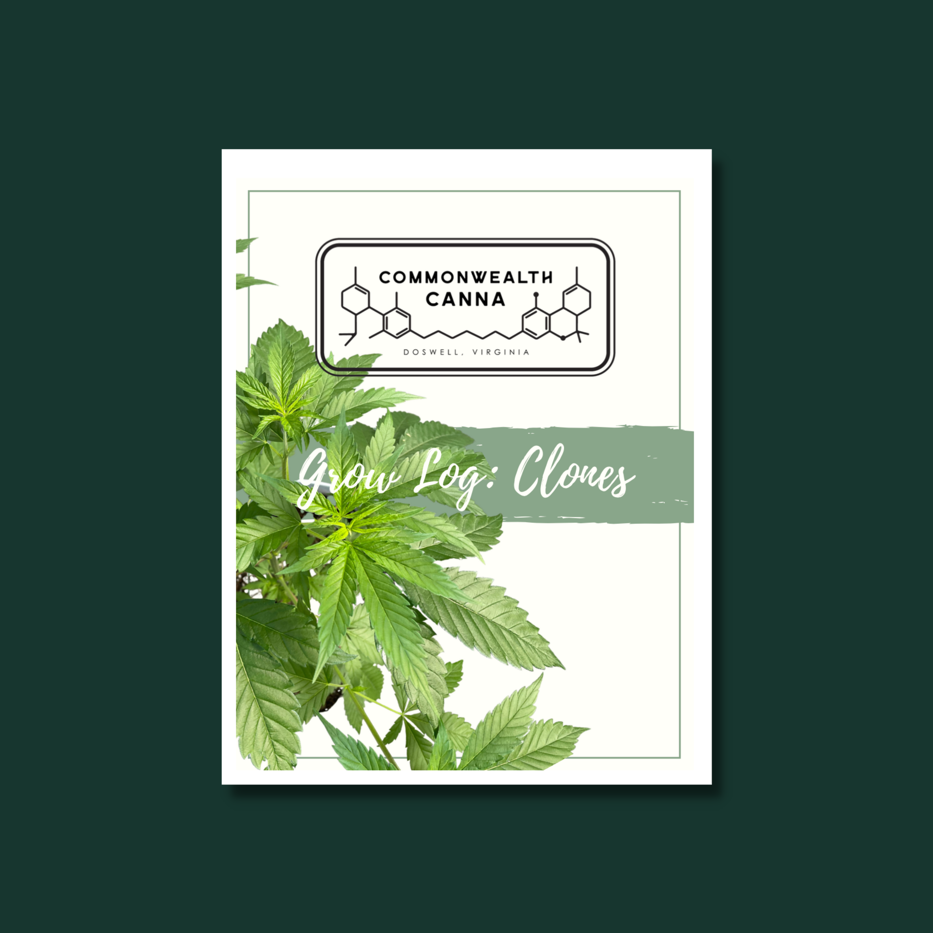 Growva Grow Log: Clones – Rooting VA